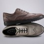 Scarpe Tod s da uomo inverno 2011 2012 modello Brogue