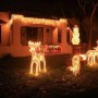 Giardino addobbato con luci e decorazioni natalizie