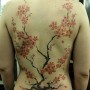 Tatuaggio albero di ciliegio giapponese