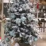 Colori Albero di Natale 2015