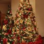 Alberi di Natale 2017 versione Traditional rosso e oro