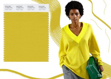 Colore Ceylon Yellow Pantone Inverno 2019