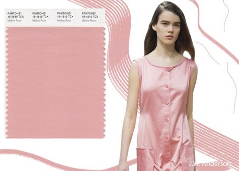 Colore Mellow Rose Pantone Inverno 2019