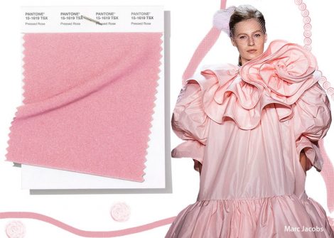 Colore Moda abbigliamento primavera estate 2019 Donna Pressed Rose 470x335 - Colori Moda Primavera Estate 2019