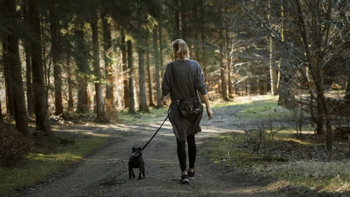 Quali sono le migliori app che ti pagano per camminare